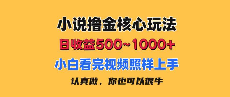 小说撸金核心玩法，日收益500-1000+，小白看完照样上手，0成本有手就行-2Y资源网