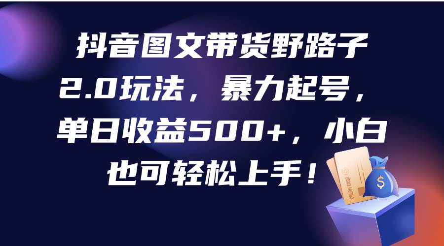 抖音图文带货野路子2.0玩法，暴力起号，单日收益500+，小白也可轻松上手！-2Y资源网
