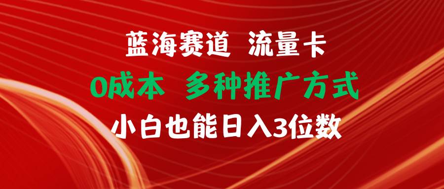 蓝海赛道 流量卡 0成本 小白也能日入三位数-2Y资源网