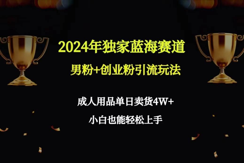 2024年独家蓝海赛道男粉+创业粉引流玩法，成人用品单日卖货4W+保姆教程-2Y资源网