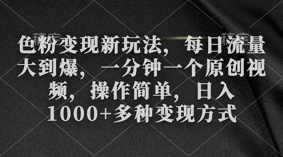 色粉变现新玩法，每日流量大到爆，一分钟一个原创视频，操作简单，日入1000+-2Y资源网