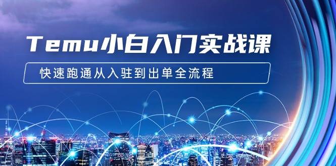 Temu小白入门实战课：跨境拼多多电商培训 快速跑通从入驻到出单全流程-12节-2Y资源网