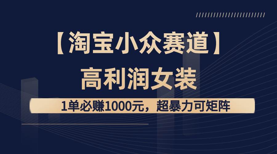 【淘宝小众赛道】高利润女装：1单必赚1000元，超暴力可矩阵-2Y资源网