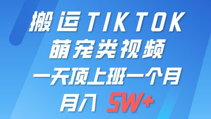一键搬运TIKTOK萌宠类视频 一部手机即可操作 所有平台均可发布 轻松月入5W+-2Y资源网