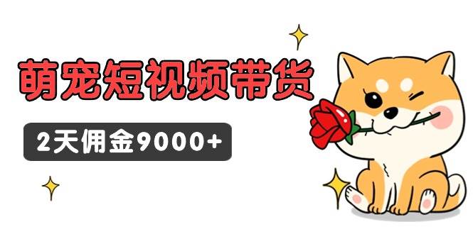 东哲日记·萌宠短视频带货，2天佣金9000+-2Y资源网