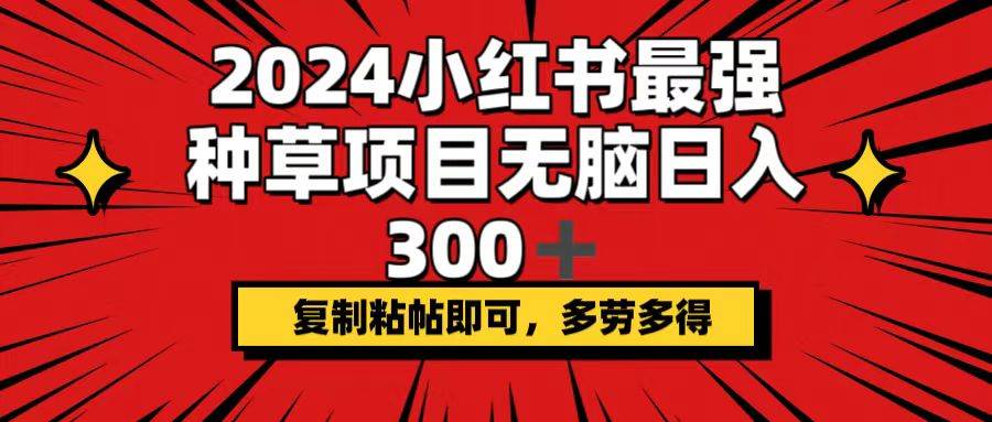 2024小红书最强种草项目，无脑日入300+，复制粘帖即可，多劳多得-2Y资源网