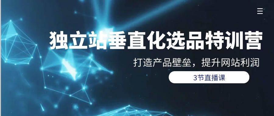 独立站-垂直化选品训练营，打造产品壁垒，提升网站利润（3节直播课）-2Y资源网