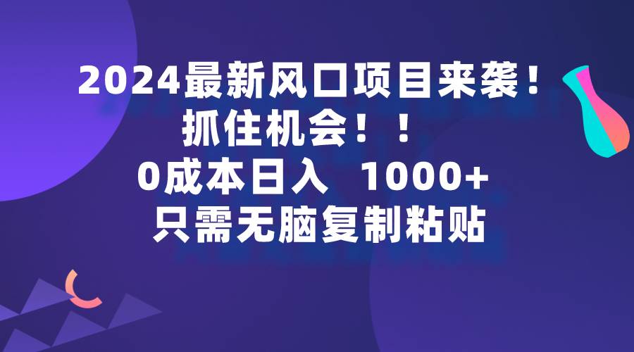 2024最新风口项目来袭，抓住机会，0成本一部手机日入1000+，只需无脑复…-2Y资源网