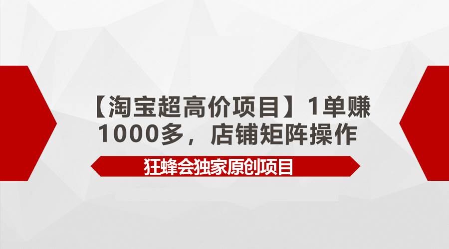 【淘宝超高价项目】1单赚1000多，店铺矩阵操作-2Y资源网