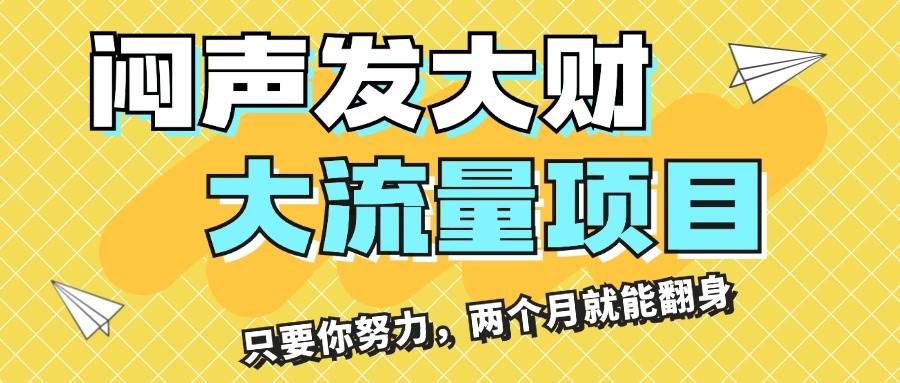 闷声发大财，大流量项目，月收益过3万，只要你努力，两个月就能翻身-2Y资源网