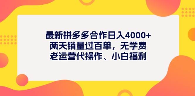 最新拼多多项目日入4000+两天销量过百单，无学费、老运营代操作、小白福利-2Y资源网