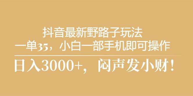 抖音最新野路子玩法，一单35，小白一部手机即可操作，，日入3000+，闷…-2Y资源网