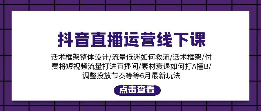 抖音直播运营线下课：话术框架/付费流量直播间/素材A撞B/等6月新玩法-2Y资源网