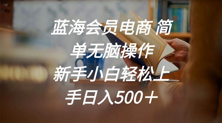 蓝海会员电商 简单无脑操作 新手小白轻松上手日入500＋-2Y资源网
