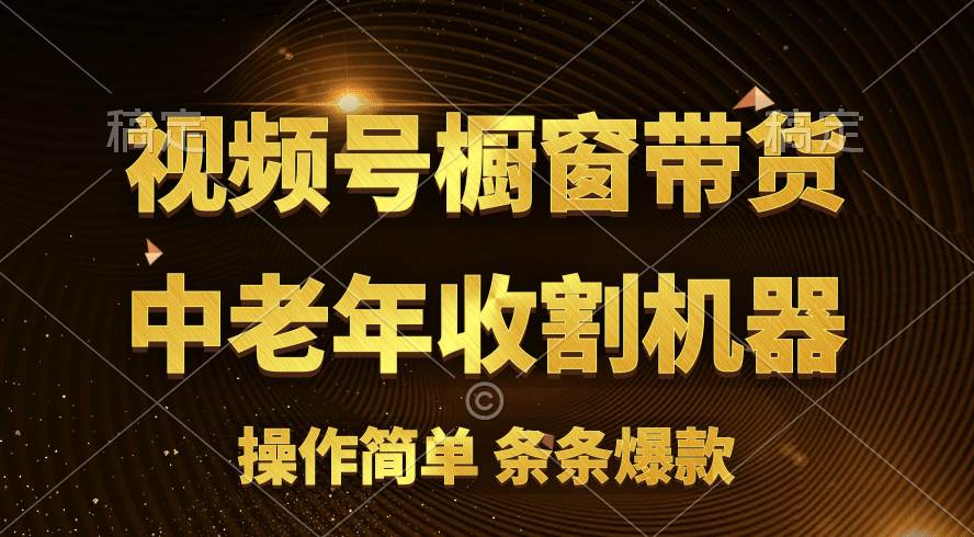 [你的孩子成功取得高位]视频号最火爆赛道，橱窗带货，流量分成计划，条…-2Y资源网