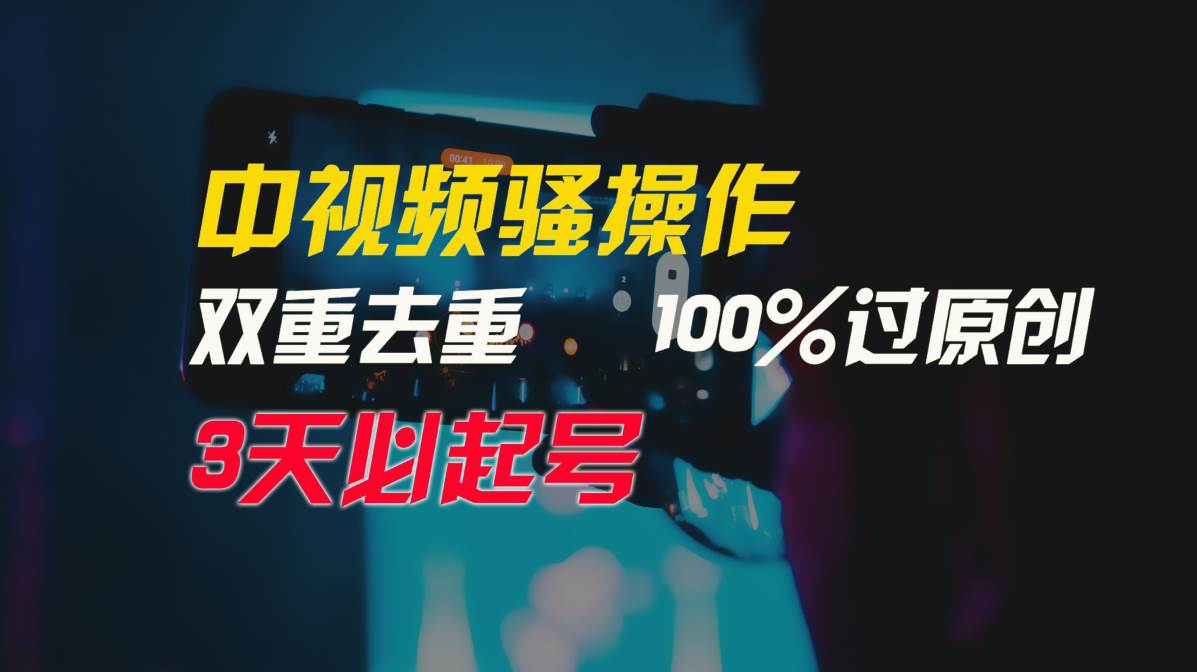 中视频骚操作，双重去重100%过原创，3天比必起号，简单无脑，月入3W+-2Y资源网