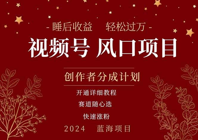 拥有睡眠收益的微信视频号大风口项目，轻松月入过万+，多赛道选择，可…-2Y资源网