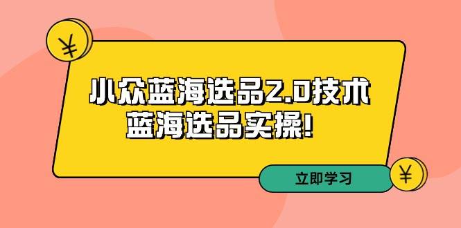 拼多多培训第33期：小众蓝海选品2.0技术-蓝海选品实操！-2Y资源网