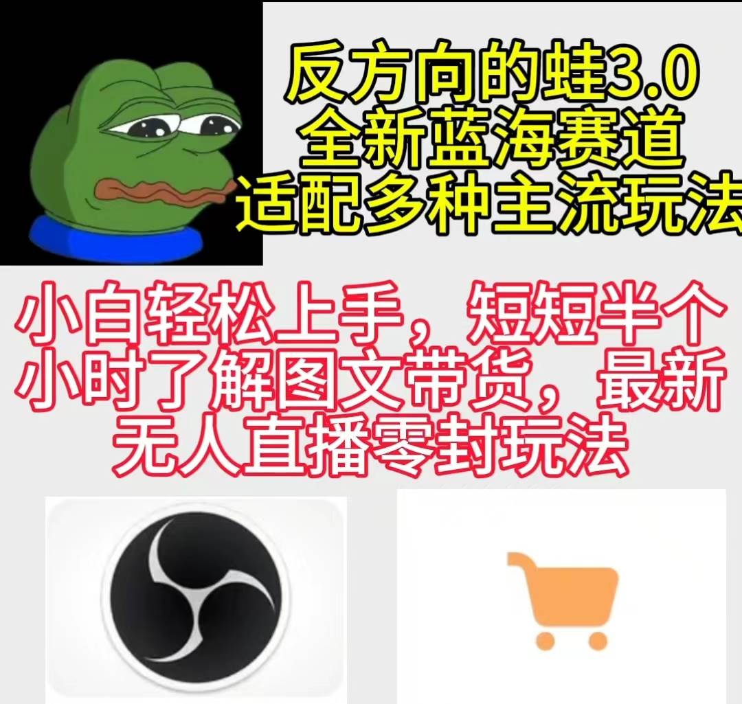 反方向的蛙3.0，图文最新玩法，变现多元化，新蓝海项目，小白轻松上手-2Y资源网