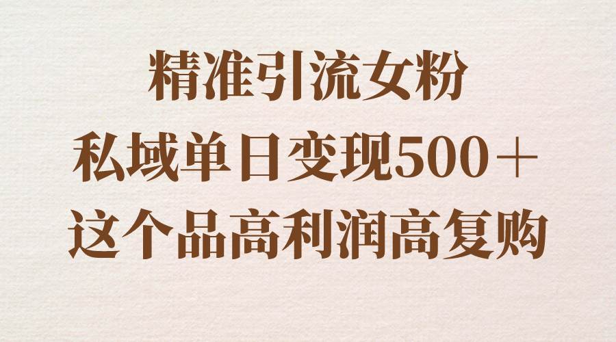 精准引流女粉，私域单日变现500＋，高利润高复购，保姆级实操教程分享-2Y资源网