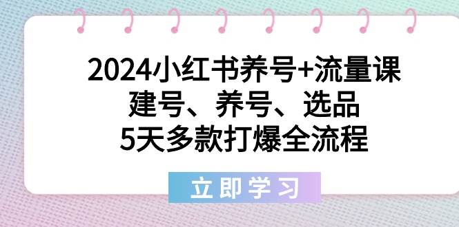 2024小红书养号+流量课：建号、养号、选品，5天多款打爆全流程-2Y资源网