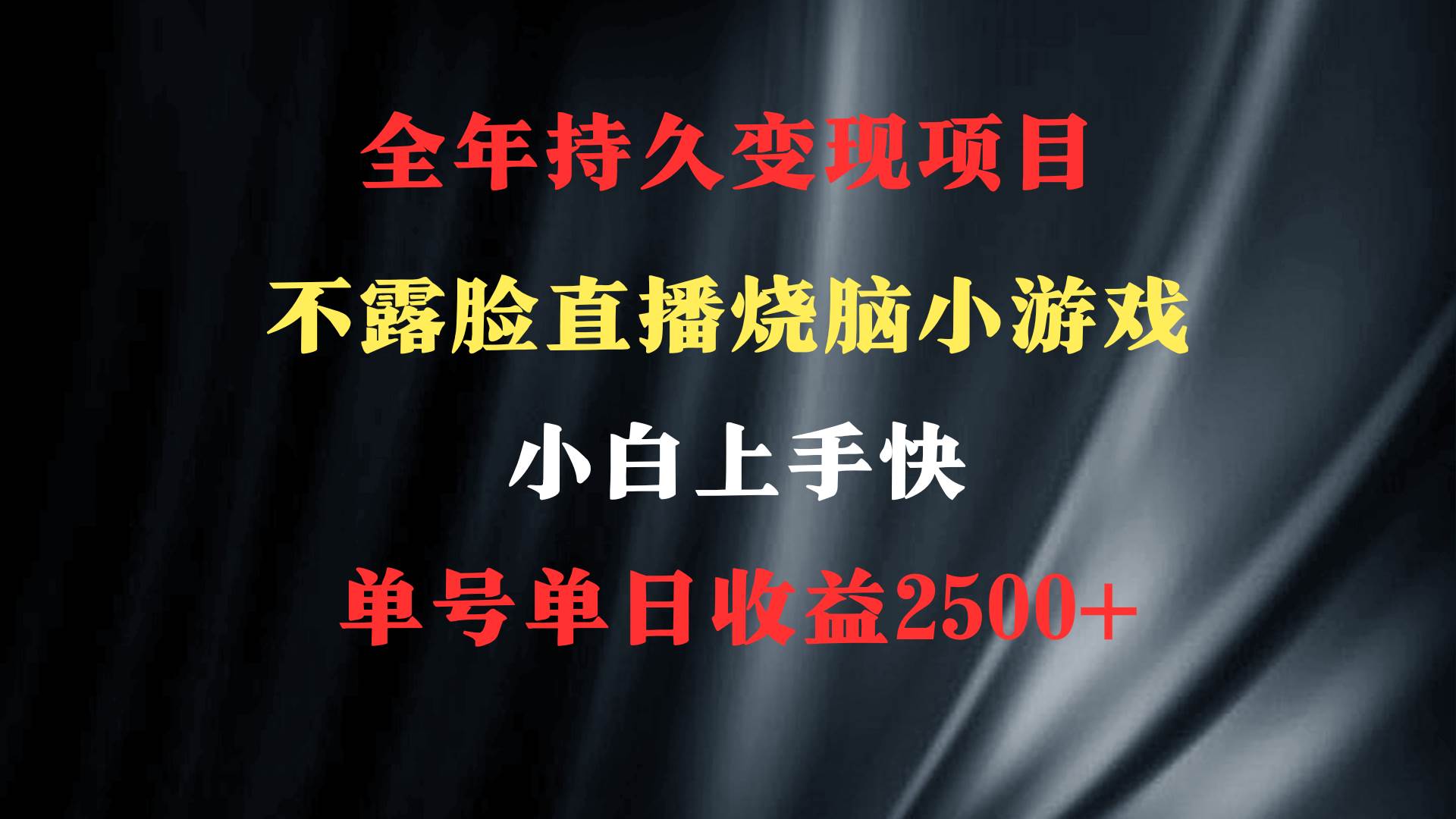 2024年 最优项目，烧脑小游戏不露脸直播  小白上手快 无门槛 一天收益2500+-2Y资源网