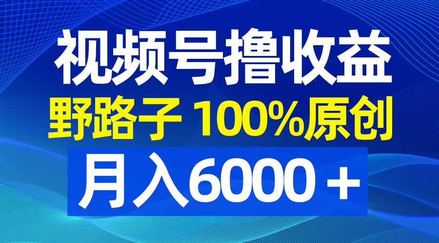 视频号野路子撸收益，100%原创，条条爆款，月入6000＋-2Y资源网