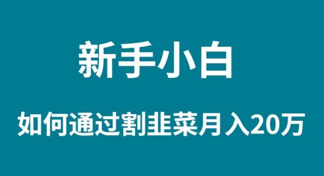 新手小白如何通过割韭菜月入 20W-2Y资源网