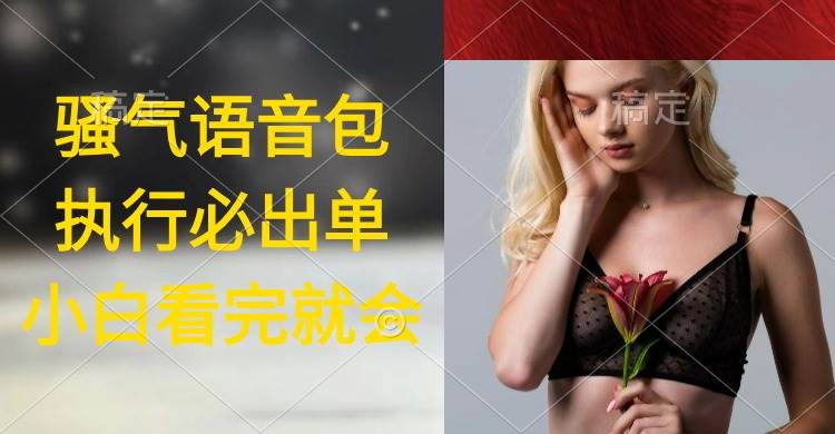 执行就出单，日入2000+，超火骚气语音包，小白看完课程就能马上实操-2Y资源网