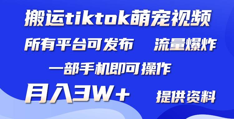 搬运Tiktok萌宠类视频，一部手机即可。所有短视频平台均可操作，月入3W+-2Y资源网