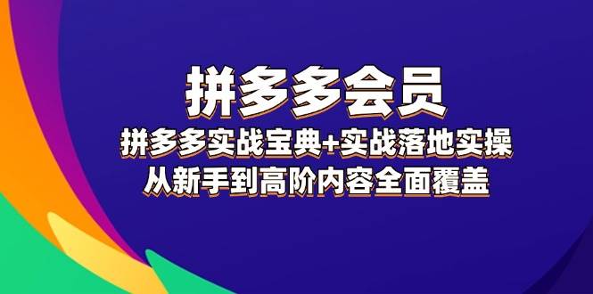 拼多多 会员，拼多多实战宝典+实战落地实操，从新手到高阶内容全面覆盖-2Y资源网