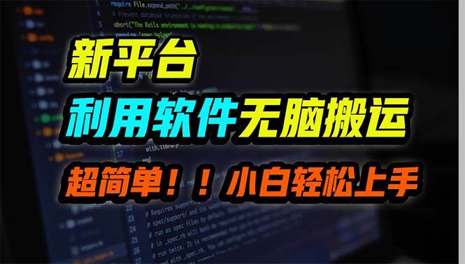 新平台用软件无脑搬运，月赚10000+，小白也能轻松上手-2Y资源网