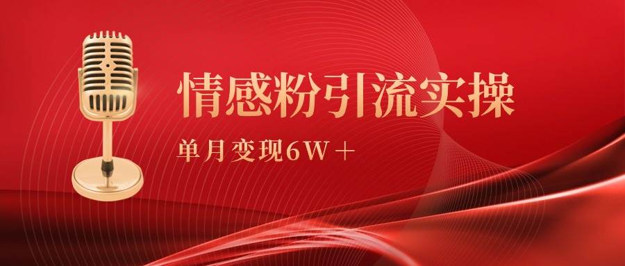 单月变现6w+，情感粉引流变现实操课-2Y资源网