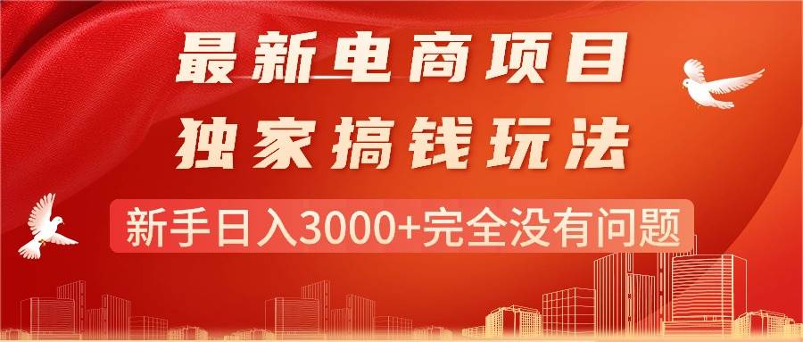 最新电商项目-搞钱玩法，新手日入3000+完全没有问题-2Y资源网