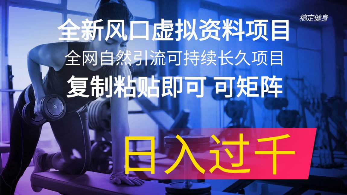 全新风口虚拟资料项目 全网自然引流可持续长久项目 复制粘贴即可可矩阵…-2Y资源网