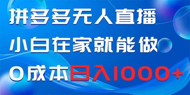 拼多多无人直播，小白在家就能做，0成本日入1000+-2Y资源网
