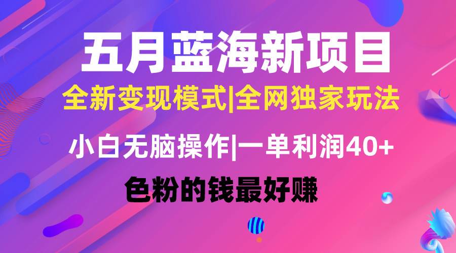 五月蓝海项目全新玩法，小白无脑操作，一天几分钟，矩阵操作，月入4万+-2Y资源网