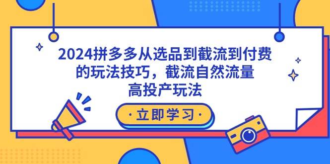2024拼多多从选品到截流到付费的玩法技巧，截流自然流量玩法，高投产玩法-2Y资源网