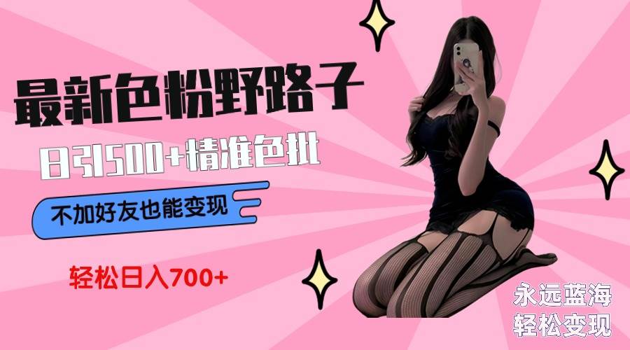 最新色粉变现野路子，日引500+老色批 可不加好友直接变现 小白轻松日入700+-2Y资源网