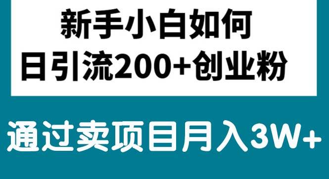 新手小白日引流200+创业粉,通过卖项目月入3W+-2Y资源网