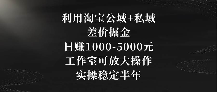利用淘宝公域+私域差价掘金，日赚1000-5000元，工作室可放大操作，实操…-2Y资源网