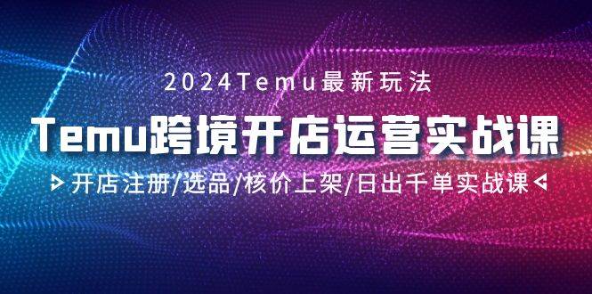 2024Temu跨境开店运营实战课，开店注册/选品/核价上架/日出千单实战课-2Y资源网