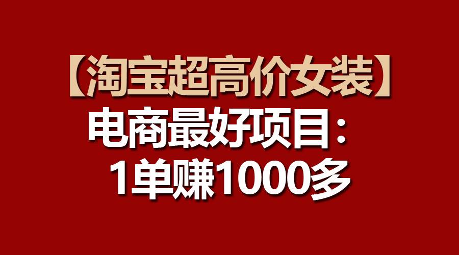 【淘宝超高价女装】电商最好项目：一单赚1000多-2Y资源网