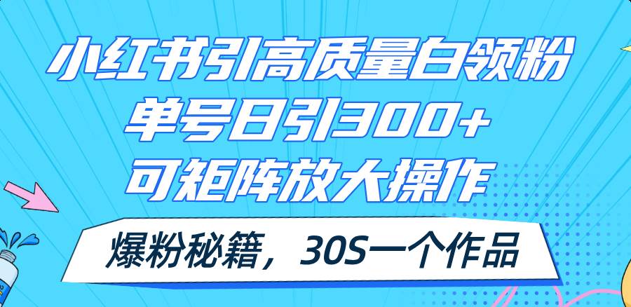 小红书引高质量白领粉，单号日引300+，可放大操作，爆粉秘籍！30s一个作品-2Y资源网