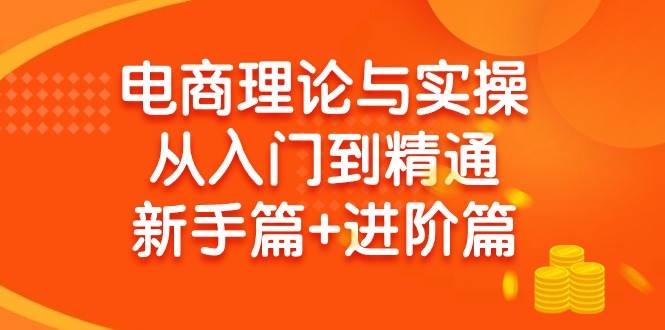 电商理论与实操从入门到精通 新手篇+进阶篇-2Y资源网