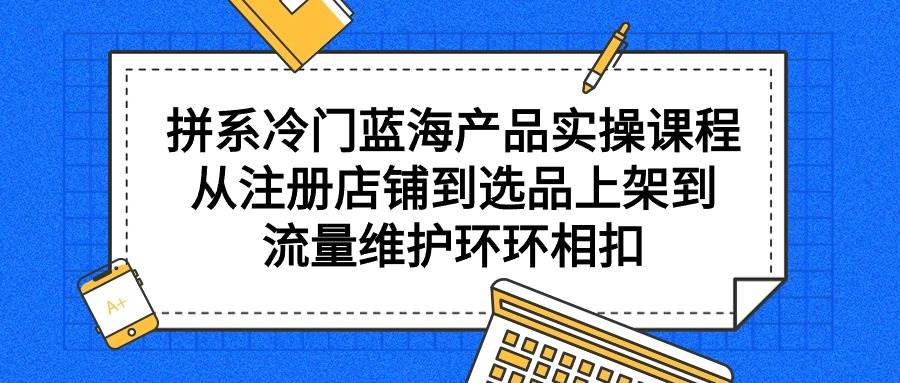拼系冷门蓝海产品实操课程，从注册店铺到选品上架到流量维护环环相扣-2Y资源网