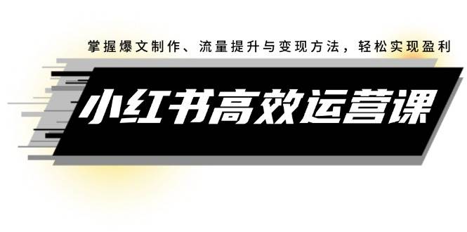 小红书高效运营课：掌握爆文制作、流量提升与变现方法，轻松实现盈利-2Y资源网