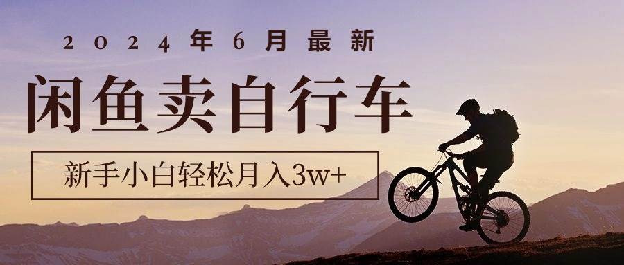 2024年6月最新闲鱼卖自行车，新手小白轻松月入3w+项目-2Y资源网