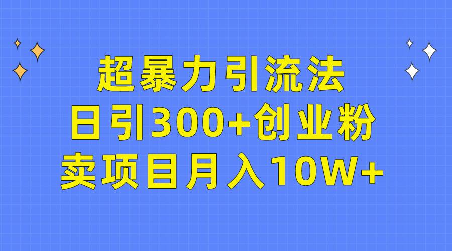 超暴力引流法，日引300+创业粉，卖项目月入10W+-2Y资源网